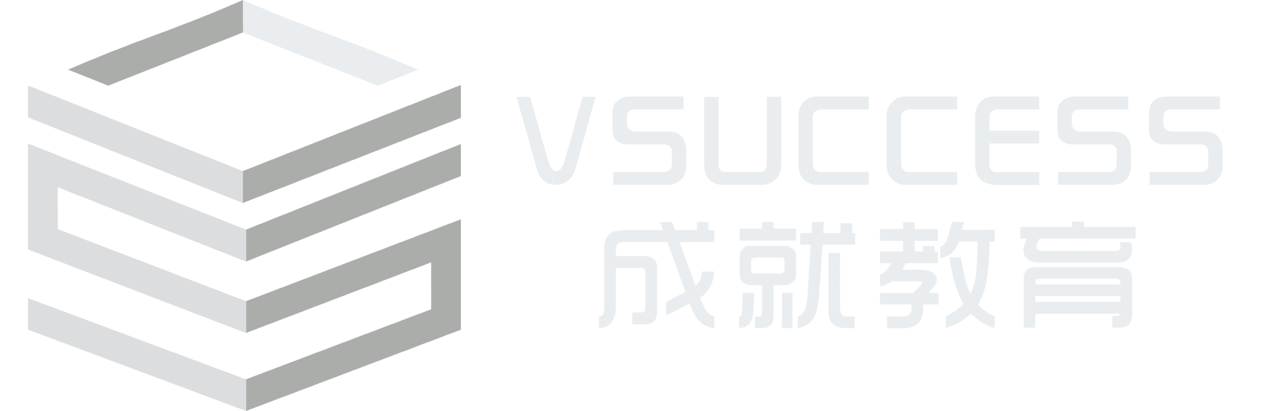 Vsuccess logo